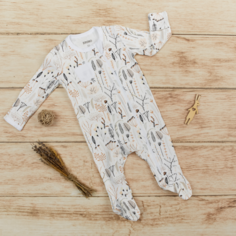 Боди, песочники, комбинезоны Bruno Комбинезон на молнии Весенний луг Br.Uno