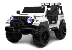 Электромобили Электромобиль RiverToys T909TT