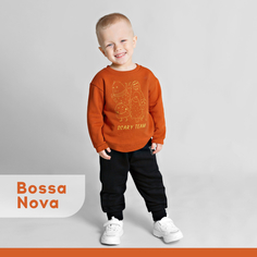 Комплекты детской одежды Bossa Nova Костюм свитшот и брюки для мальчика 039МП-461