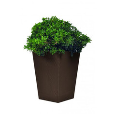 Товары для дачи и сада Keter Кашпо Rattan Planter M