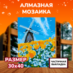 Картины своими руками Lori Алмазная мозаика Мельница 40х30 см Лори
