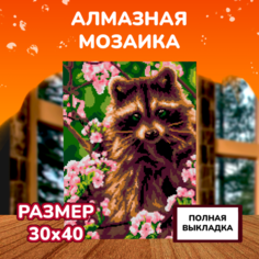 Картины своими руками Lori Алмазная мозаика Енотик 40х30 см Лори