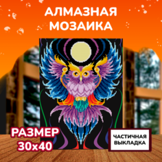 Картины своими руками Lori Алмазная мозаика Сова 40х30 см Лори