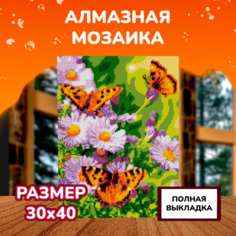 Картины своими руками Lori Алмазная мозаика Летнее настроение 40х30 см Лори