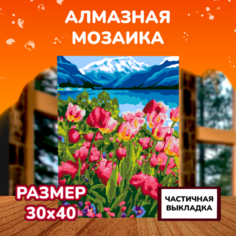 Картины своими руками Lori Алмазная мозаика Тюльпаны 40х30 см Лори
