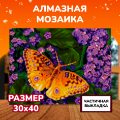 Картины своими руками Lori Алмазная мозаика Фиолетовые цветочки 40х30 см Лори