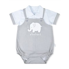 Комплекты детской одежды Leo Комплект (футболка, песочник) Слоненок
