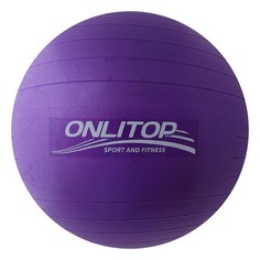 Мячи Onlitop Фитбол 65 см 3543996