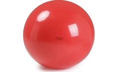 Мячи Gymnic Мяч Physio 120 см
