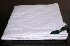 Одеяла Одеяло Anna Flaum легкое Flaum Baumwolle Kollektion 200х150 см