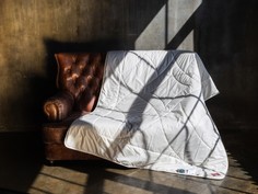 Одеяла Одеяло German Grass легкое Organic Linen 200х150