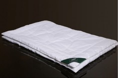 Одеяла Одеяло Anna Flaum всесезонное Stern 150x200 см