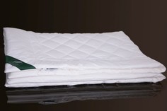 Одеяла Одеяло Anna Flaum легкое Flaum Bamboo Kollektion 200х150 см