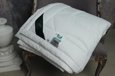 Одеяла Одеяло Anna Flaum легкое Aktiv Kollektion 200х150 см