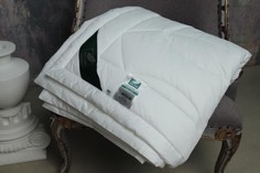 Одеяла Одеяло Anna Flaum легкое Aktiv Kollektion 220х200 см