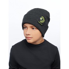 Шапки, варежки и шарфы Fishka Шапка U-W21862