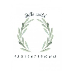 Пеленки Пеленка Firstday муслин Hello World Metrics 120х120 см