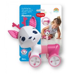 Каталки-игрушки Каталка-игрушка Tiny Love Флоренс 570