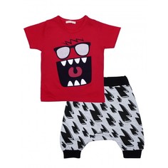 Комплекты детской одежды Baby Rose Комплект для мальчика футболка, шорты 6394