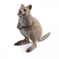 Игровые фигурки Schleich Игровая фигурка Короткохвостый кенгуру