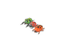 Интерактивные игрушки Интерактивная игрушка HK Industries Набор насекомых 3 в 1