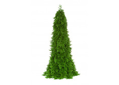 Искусственные елки Crystal Trees Ель Паулиста 250 см