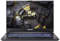 Ноутбук Hasee G8-TA7NP (671235)