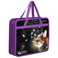 Модные аксессуары BRAUBERG Папка на молнии с ручками, 1 отделение, Dream cat