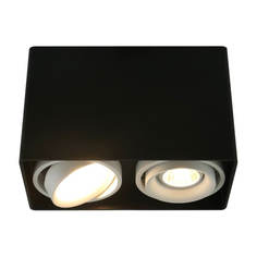 Светильник Потолочный светильник Arte Lamp A5655PL-2BK