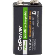 Бытовой аккумулятор GoPower