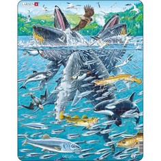 Пазлы Larsen Пазл Горбатые киты в стае сельди 140 элементов