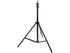 Molti Trendsetter 13332