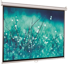 Экран Viewscreen Scroll WSC-16105 ручной (16:10) 200х127 (194х121) MW