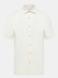 Рубашки Pierre Cardin