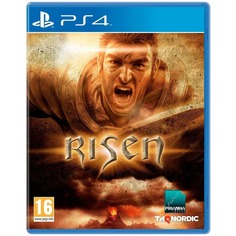 Risen PS4, русская версия Sony