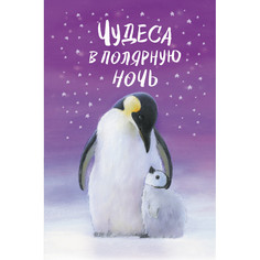 Художественные книги Эксмо Холли Вебб Чудеса в полярную ночь