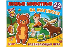 Магнитные игры
