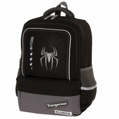 Школьные рюкзаки Brauberg Рюкзак Star Spider 40х29х13 см