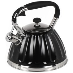 Чайник нержавеющая сталь, 3 л, со свистком, ручка бакелитовая, Daniks, индукция, черный, GS-04611B