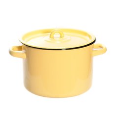 Кастрюля эмалированная сталь, 4.5 л, с крышкой, крышка сталь, СтальЭмаль, 2с17, индукция