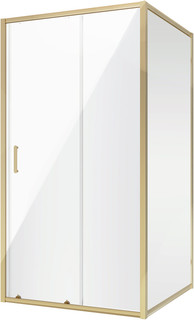 Душевой уголок 100x110 см Niagara NG-42-10AG-A110G прозрачное