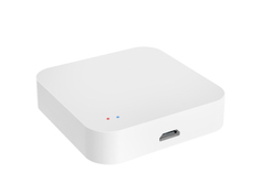 Шлюз Roximo Zigbee + Bluetooth GWZBT01