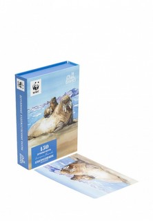 Пазл Davici Атлантический морж