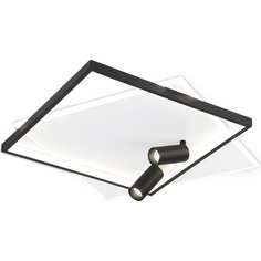 Потолочная люстра Ambrella Light