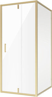 Душевой уголок 100x100 см Niagara NG-43-10AG-A100G прозрачное