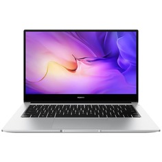 Ноутбук Huawei MateBook D14 NbDE-WDH9 (53013NYY)