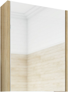 Зеркальный шкаф 54,8x72 см швейцарский вяз R Sanflor Ларго H0000000022