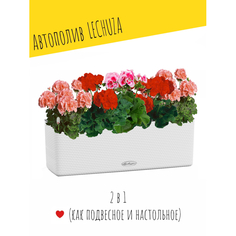 Товары для дачи и сада Lechuza Настольное кашпо с автополивом Cube Color Triple 40х14х14 см