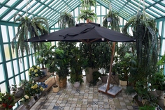 Профeссиональный зонт MAESTRO 300 квадратный без волана Royal Family
