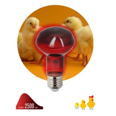 Лампа инфракрасная ЭРА E27 60 Вт для обогрева животных и освещения ИКЗК 230-60 Вт R63 Е27 Б0057281 ERA
